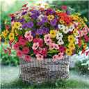 24 Bundles Lifelike Outdoor Artificial Flowers, UV Protected No Fade Fake Silk Plants for Spring Summer, Realistic Faux Flowers for Garden Porch Patio Decorations (6 Color Mix)