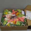 Spring Wreath for Front Door, 24 Inch Artificial Spring and Summer Wreath with Peony, Rose, Orchid, Hydrangea and Gardenia Flowers, Peach, Berries and Hello Wooden Sign, Decor for Indoor Outdoor