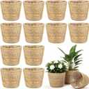 12 Pcs Seagrass Plant Basket with Plastic Liners Woven Stylish Planter Baskets Bulk Indoor Outdoor Plants Woven Wicker Baskets for Flower Pots Cover and Room Decor Small (Small, Rustic)