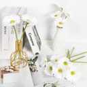 IPOPU Gerbera Daisy Artificial Flowers,20PCS White Daisy Artificial Flowers Fake Daisies for Wedding Party Office Home Decorations(White)