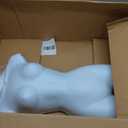 SSWBasics Female Mannequin Torso - Fits Womens Sizes 5-10 - Molded, Shatterproof & White