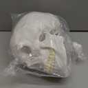 HADWYN 2025 New Human Skull Model, Life Size Medical Anatomy Anatomical Adult Model with Removable Skull Cap and Articulated Mandible, Full Set of Teeth