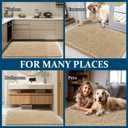 OLANLY Dog Door Mat for Muddy Paws 30x17, Absorbs Moisture and Dirt, Absorbent Non-Slip Washable Doormat, Quick Dry Chenille Mud Mat for Dogs, Entry Indoor Entryway Carpet for Inside Floor, Beige