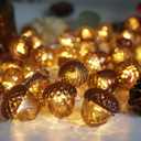 Acorn String Lights 10FT 30LED USB Power  Realistic 3D Acorn with Diamond Cut Design, Durable 0.45mm Copper Wire, Warm White Fairy Lights for Bedroom Harvest Mantel Rustic Garland Dorm Table Decor