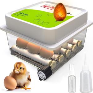 Incubators for Hatching Eggs - 12 Eggs - Ideal All Ages | Egg Incubator with Automatic Egg Turning and Humidity Control - Integrated Egg Candler - Okkobi OBI-12 (White Green)