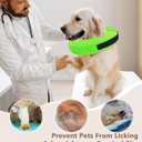 Inflatable Dog Cone Collar, Cone for Dogs to Stop Licking, Donut Collar After Surgery, Soft Dog Cone Alternative, Cones Collar for Small Medium Large Dogs (Green, L (Neck 13"-18")) (Green, L)