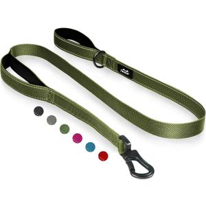 TwoEar 5FT 1IN Strong Green Dog Leash with 2 Padded Handles, Traffic Handle Extra Control, Comfortable Soft Dual Handle, Auto Lock Hook, Reflective Walking Lead for Small Medium and Large Dogs