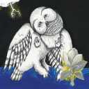 MAGNOLIA ELECTRIC COMPANY CO by Songs: Ohia, Vinyl