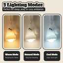 Aesthetic Plush LED Night Light, 1200mAh Rechargeable Mood Lamp, 3 Color Temperatures (Warm/Nature/Cool), 150 Lumens Dimmable Nursery Light with Remote, 1-4H Timer, Bedside Decor, White