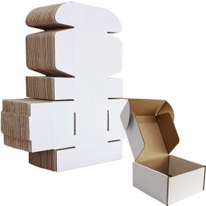 HORLIMER 4x4x2 inches Shipping Boxes Set of 25, White Corrugated Cardboard Box Literature Mailer