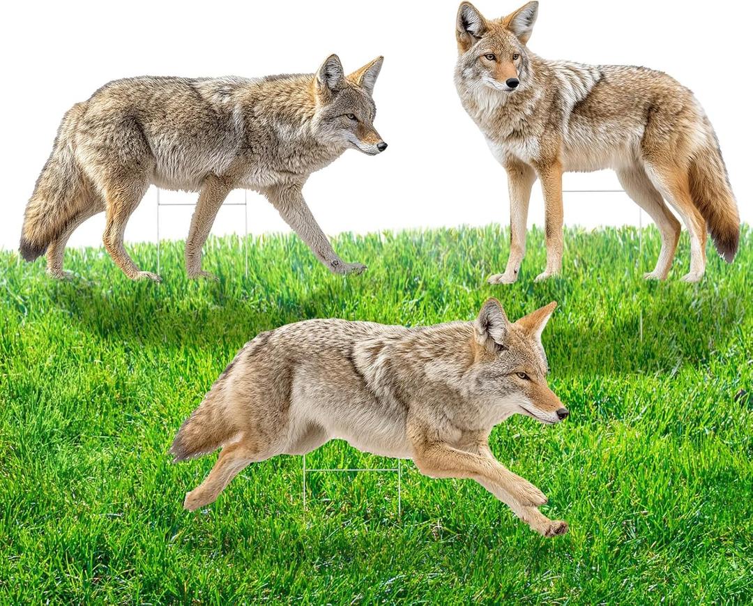3 Pack 27x 25 Inch Coyote Decoy for Geese, Lifelike Predator with Metal Stakes, Fake Predator Hunting Decoy 2D Silhouette Coyote Devices for Yard Garden