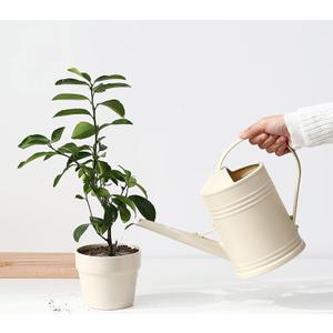 Plastic Indoor Watering Can with Sprinkler Head - 68 oz, 1/2 Gallon (Dark Green)