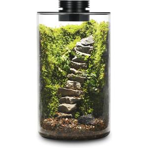 Desktop Glass Plant Terrarium with Grow Light (H:9.8" D:5.9"), for Succulent, Moss, Miniature Gardening Landscape, Betta Fish Tank, Indoor Plant Growth, Office Home Decoration, Plant Lovers Gifts