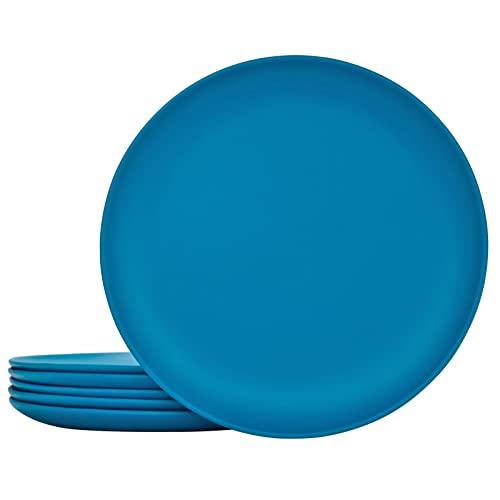 TP 10" Plate Set, 6-Piece Melamine Round Dinner Plates, Unbreakable Weighty Serving Dishes for Home, Outdoor Party, Restaurants, Coastal Blue