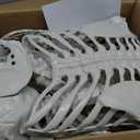 Wocst 5.4Ft/165cm Halloween Skeleton Full Body Life Size Human Bones with Movable Joints for Indoor Outdoor Halloween Props Decorations