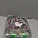 Sweetude 40 Pcs Dinosaur Gift Party Favor Bags with Handle, Non Woven Goodie Bags Birthday Favor for Birthday Baby Shower Packaging Supplies