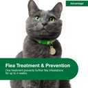 Advantage Topical Cat Flea Treatment and Prevention for Large Cats Over 9 lbs. | Apply Flea Drops Monthly | 2 Treatments
