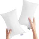 Small Pillow Mini Pillow for Travel 2 Pack, 11" x 7" Tiny Pillows with Name Tag, Travel and Sleep, Small Rectangular for Neck, Lumbar, Back, Pet Dogs, White