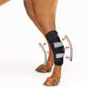 NeoAlly - Rear Leg Hock Brace with Metal Spring Strips, Dog Leg Brace for Rear Leg, Hock & Ankle Support, Rear Dog Leg Brace for Large Dogs, Long. (Left Leg, Large)