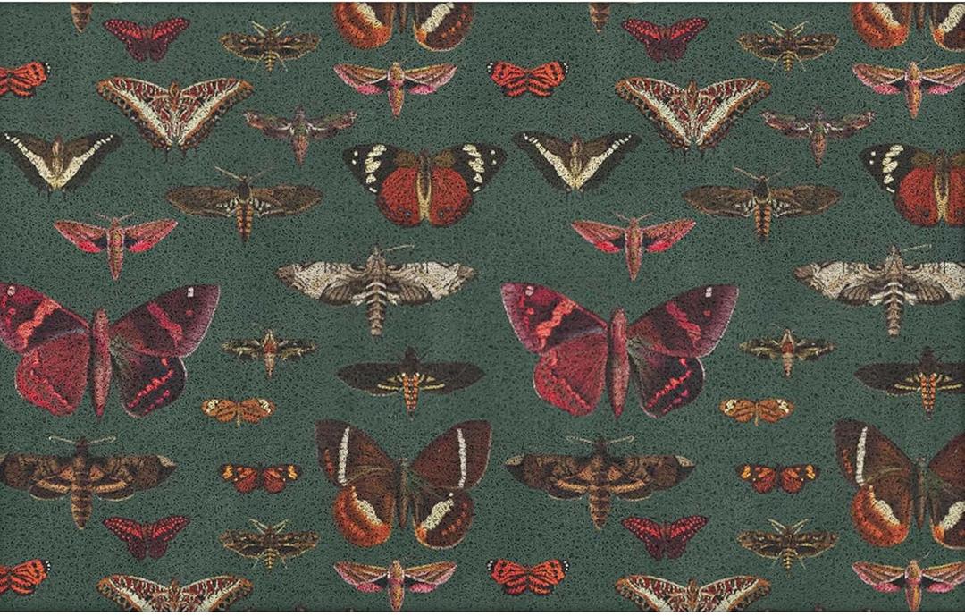 Dark Green Butterfly Door Mat, Vintage Moth Doormat Outdoor Indoor Entrance Porch, Antique Butterfly Outdoor Mat, Nature Insect Welcome Mats for Front Door, 17x30 Inch