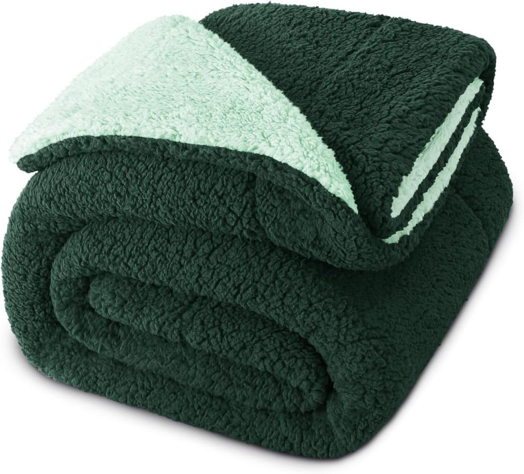 Exclusivo Mezcla Reversible Twin Size Sherpa Blanket, Thick and Warm Fleece Blankets for Winter, Soft Plush Fluffy for Bed, 60x80 Inches, Forest/Mint Green