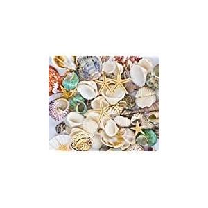 Famoby Sea Shells Mixed Beach Seashells Starfish for Beach Theme Party Wedding Decorations DIY Crafts Candle Making Fish Tank Vase Fillers Home Decorations Supplies 70+ pcs