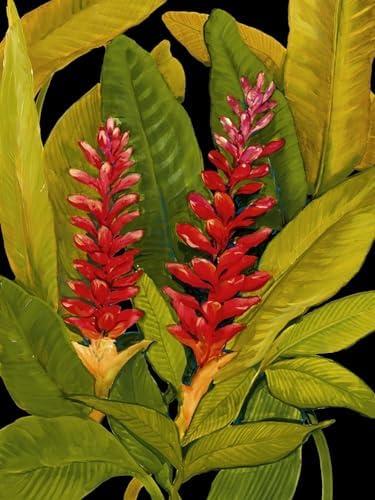 ART.COM Wall Art Print Dramatic Red Ginger by Tim O'toole, 12" x 16"