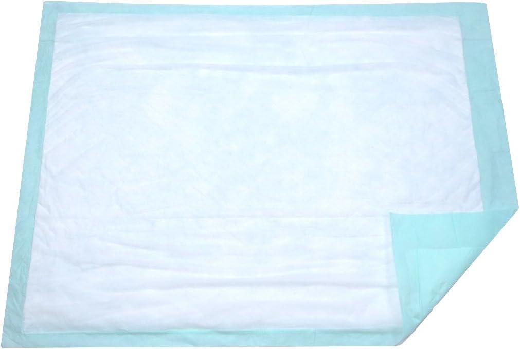Extra Large Disposable Incontinence Bed Pad 10 Count (Size 36 x 36 Inch) - Hospital Underpad with Incontinence Protection for Adult, Child, or Pets - Absorbent Waterproof Chux by BrightCare
