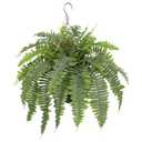 Artificial Fern Hanging Basket Plant 25" Boston Ferns 31 Leaves Greenery Plants with Rattan Pot for Outdoors & Indoor Fake Fern Bush Plant in Pot for Patio Entrance Porch Garden Decor Dusty Green