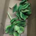 GnFlus Artificial Agave Succulent Plants, 24 Inch Large Size, Faux Succulents Stems Fake Plant for Home Office Garden Yard Indoor Outdoor Decor (Green)