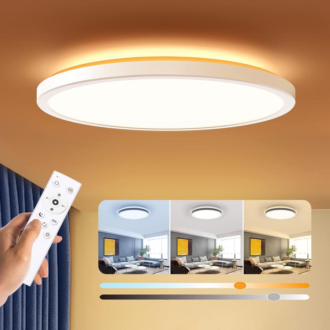 BLNAN Dimmable LED Flush Mount Ceiling Light Fixture with Remote Control, 12Inch 24W 3000K-6500K Light Color Adjustable, Modern Ultra-Thin Ceiling Lamp for Bedroom Kitchen, Wired (White)