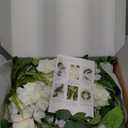 Ling's Moment Flower Garland - 6FT Eucalyptus & Rose - Sweetheart Table Decor for Wedding Reception, Artificial Floral Garland for Mantle, Spring, Christmas Decoration, White & Lily