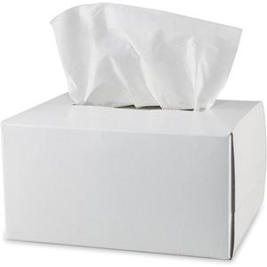 Pyramex Safety Products LT300 Lens Cleaning Tissues, Package of 300 White