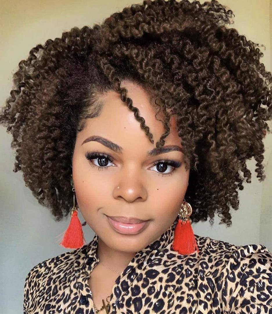 Short Kinky Curly Wigs Ombre Brown Side Part Wig Afro Curly Wig Twist Out Wigs Low Temperature Synthetic Fiber Full Hair for Black Women (1B 30)