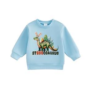 Douhoow Toddler Boy Easter Outfits Baby Boy Sweatshirts For The Chicks Seggosaurus Boys T-shirt Tops (Blue A, 12-18 Months)