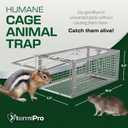 Humane Squirell Trap -2 Pack, Chipmunk and Rat Cages that Work for Home | Catch and Release | Reusable and Durable | No Kill Animal Trap | for Inside Home and Outdoor Use