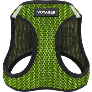 Best Pet Supplies Voyager Step-in Air Harness - All Weather Mesh, Reflective, No Pull Harness for Dogs, Cats - Secure with Hook & Loop Fastener, Buckle, Double D-Rings - Lime Green 2-Tone, S (S (Chest: 14.5 - 16"))