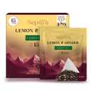 2 x Nepaya Lemon Ginger Green Tea Bags – 15 Individually Wrapped Biodegradable Pyramid Tea Bags, Low Caffeine, Fruity Citrus Flavor with Zesty Lemon & Spicy Ginger, Premium High-Grown Nepal Green Tea (EXP 05/31/27)