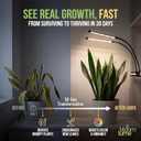 Bloom Lume LED Grow Lights for Indoor Plants Full Spectrum - Features Multi Mode Color Spectrums, Dimmable, Auto Timer, Clip on Gooseneck Plant Lamp