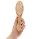 Small Hair Brush for Purse - Wooden Bristle Detangler Hairbrush For Detangling Women, Men & Kids Wet or Dry Hair - Natural Wood Handle & Bristles - Travel Size and Fits in Pocket or Purse (1 Count (Pack of 1))