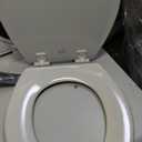 Toilet Seat