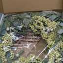 AMF0RESJ Green Eucalyptus Wreaths for Front Door Spring Summer Wreath with Eucalyptus Leaves,Olives Leaves,Mixed Berry for Indoor Outdoor Farmhouse Home Porch Wall Window Festival Wedding Decor