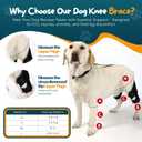 Dog Knee Brace Dog ACL Brace Hind Leg Dog ACL Knee Brace with Extra Collar and Support Treats Kneecap Dislocation Arthritis (Black, M)