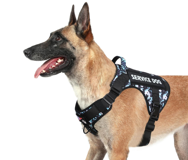 voopet Tactical Dog Harness - Military Emotional Support Service Dog Vest with Handle & Molle for Dogs, Easy Control No Pull ESA Dog Vest, Small (No Patch)