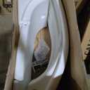 Pool Lounge Chairs, Lounge Chairs for in Pool with Armrests, Ledge Lounger Use in Pools Up to 9-Inches Deep or Outside Deck, Fade-Resistant, White