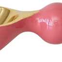 Creative Co-Op Enameled Aluminum Kitchen Scoop, Pink and Gold