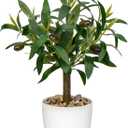 Artificial Olive Tree15'' Small Faux OliveTree Fake Olive Plants with White Pot for Home Bedroom Table Shelf Office Hotel Decor, Briful