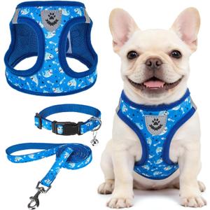 SCENEREAL Small Dog Harness and Leash Collar Set, Step in Soft Light Puppy Vest, Breathable Pet Harness for  Dogs, No Choke Reflective for Safe Outdoor Walking, Blue Shark M