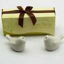 40pcs=20sets Love Bird Salt & Pepper Shakers Wedding Party Favor Gift