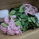 2 pack large faux plastic plantas in Pot UV Resistant fake flowers Trees indoor outdoor realistic floor plants Artificial Hydrangea Plants for home Porch Garden Office Porch Patio front bonsai Decor